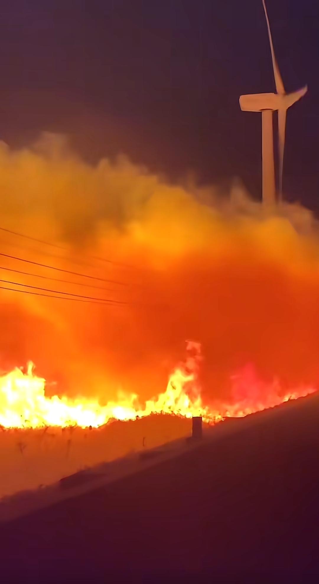 12月31日宁波十一塘，疑似自发组织的跨年烟花活动，引燃了路边的杂草与灌木林
