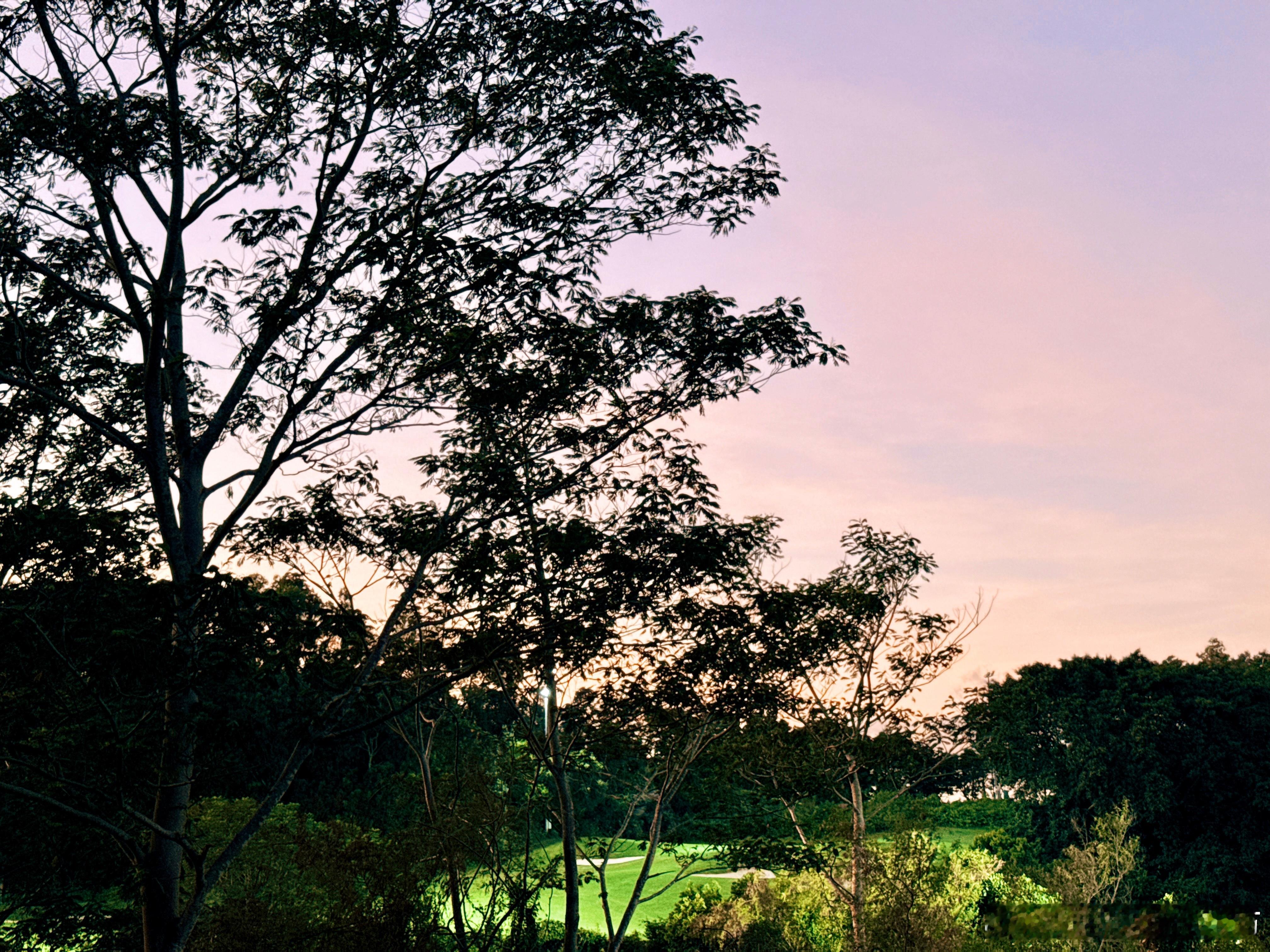 深圳这几天真的太舒服了基本不会出汗早晚清凉但过几天好像要来台风了🌀 ​​​