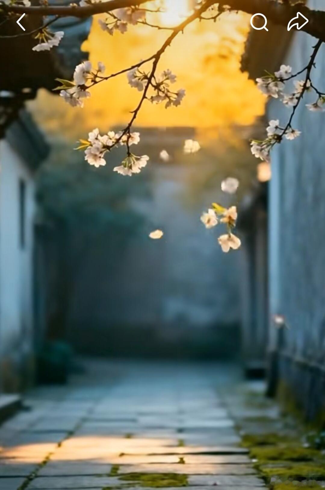 人这辈子，就是一个过程。生老病死，喜怒哀乐，酸甜苦辣，聚散离合，都要走一遍。不管