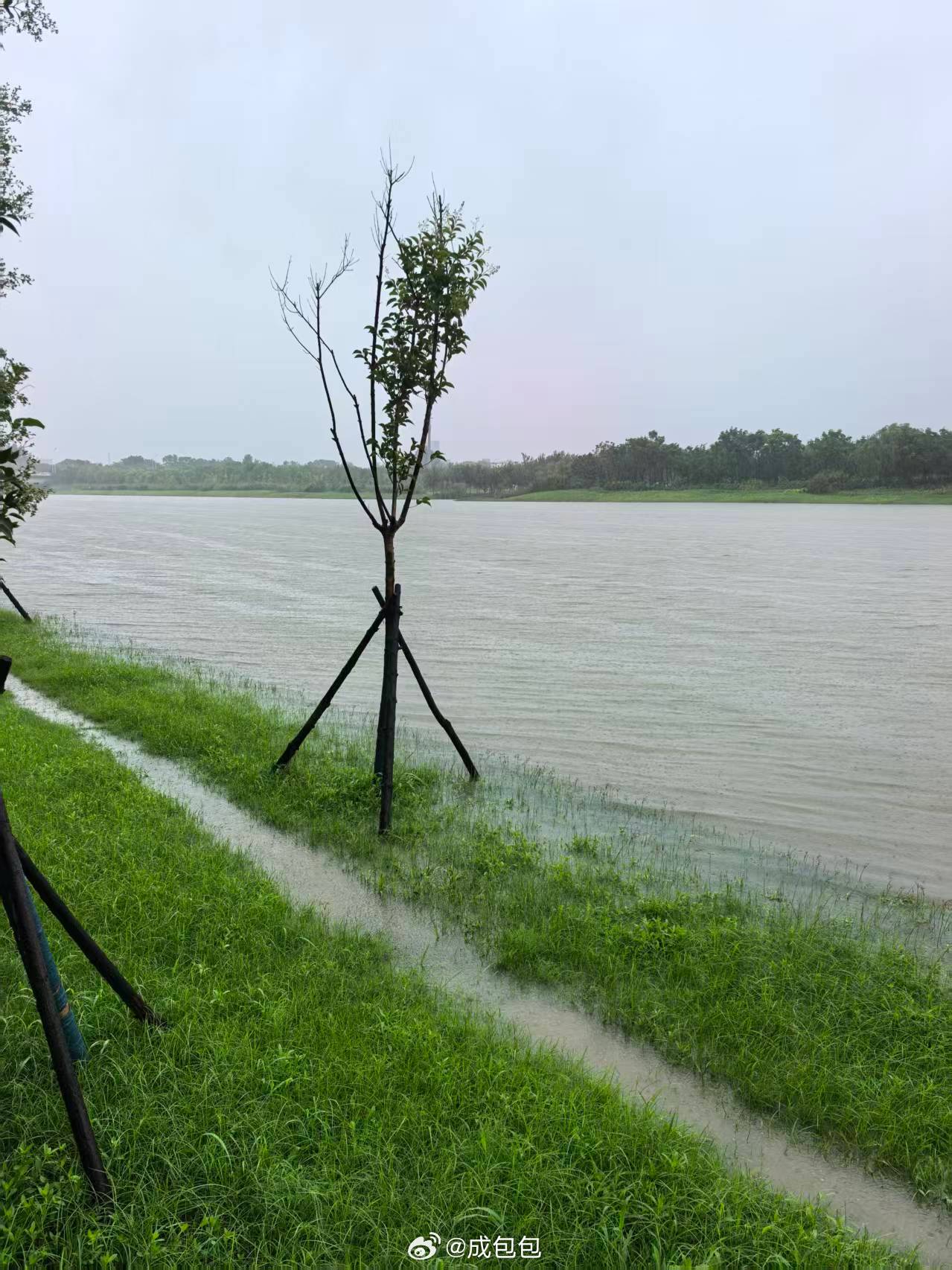 上海暴雨昨晚🐟获如何啊看这个走水，有手就行啊 