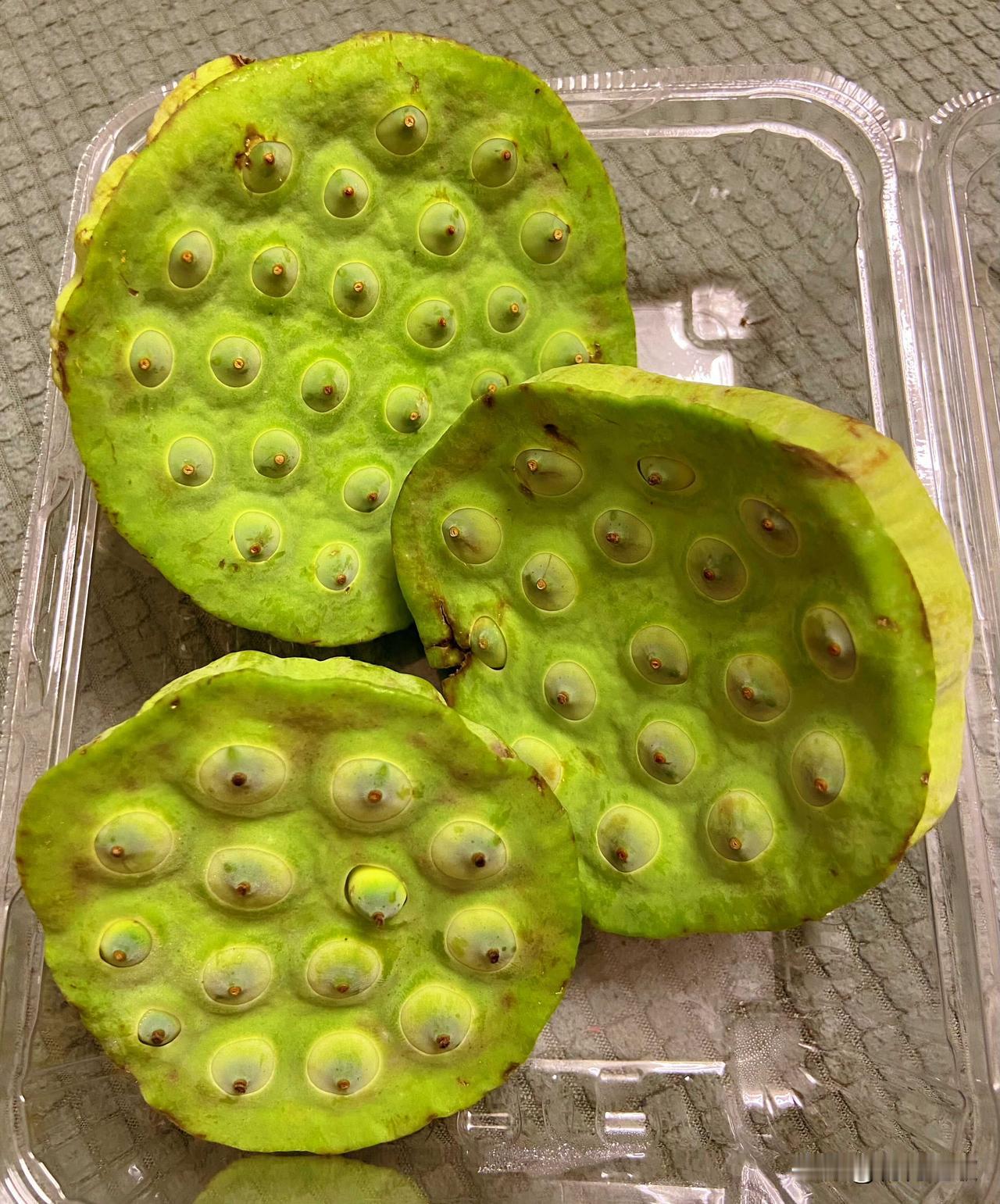 泛舟荷花池，采摘一个莲蓬，剥一颗莲子，清香的口感就很让人喜欢。

这就是当时看《
