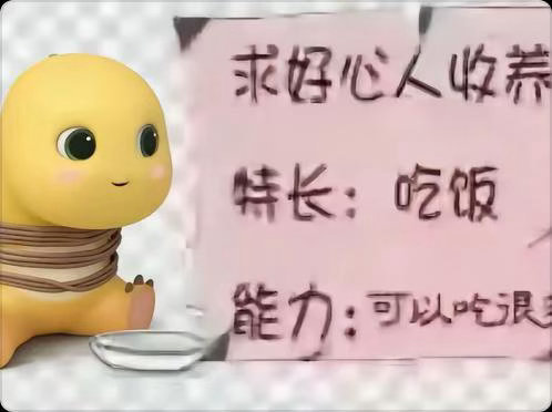 分享图片 