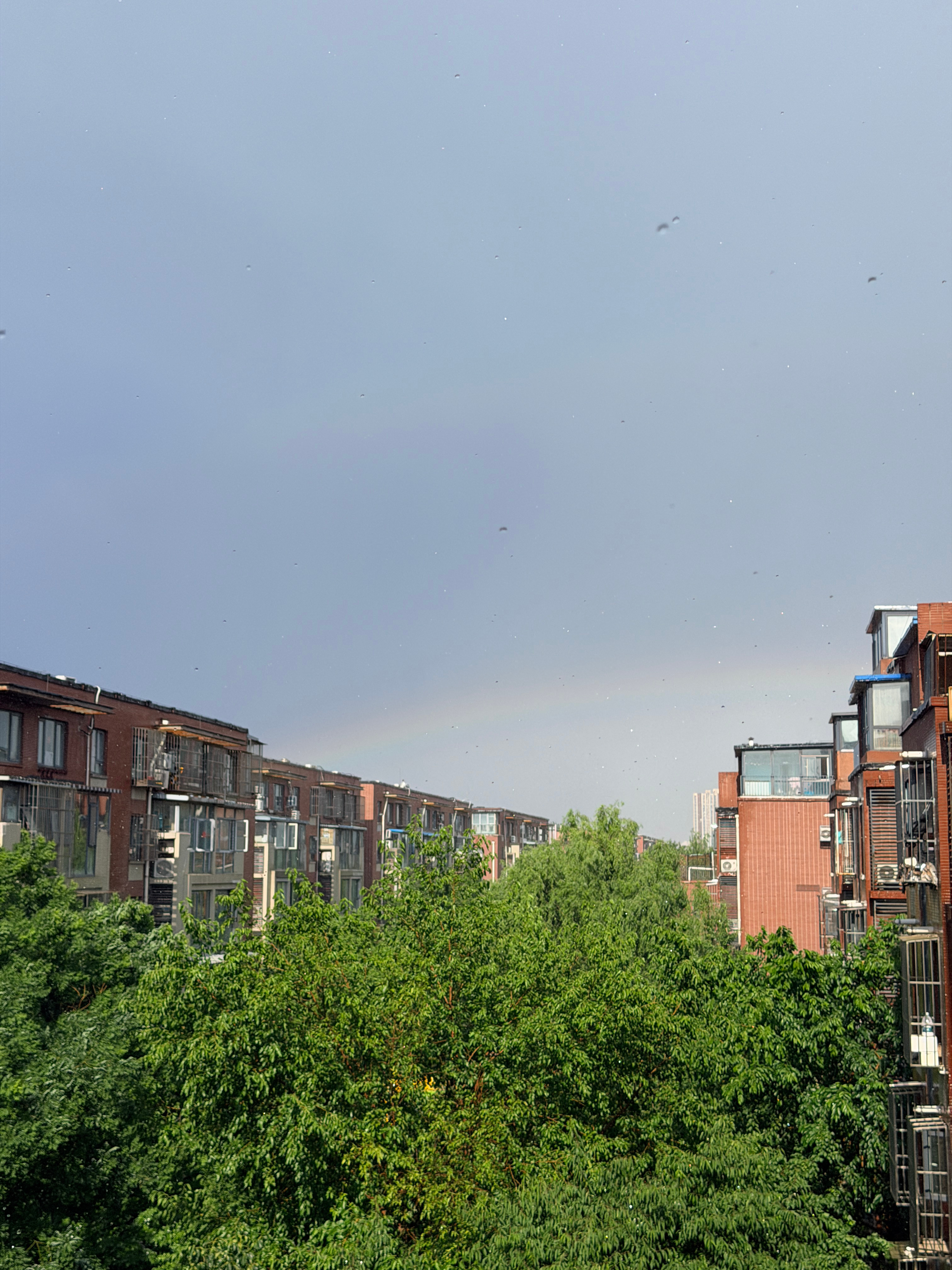 京津冀的天气像变魔术说变就变彩虹是暴雨留给天空独有的浪漫🌈