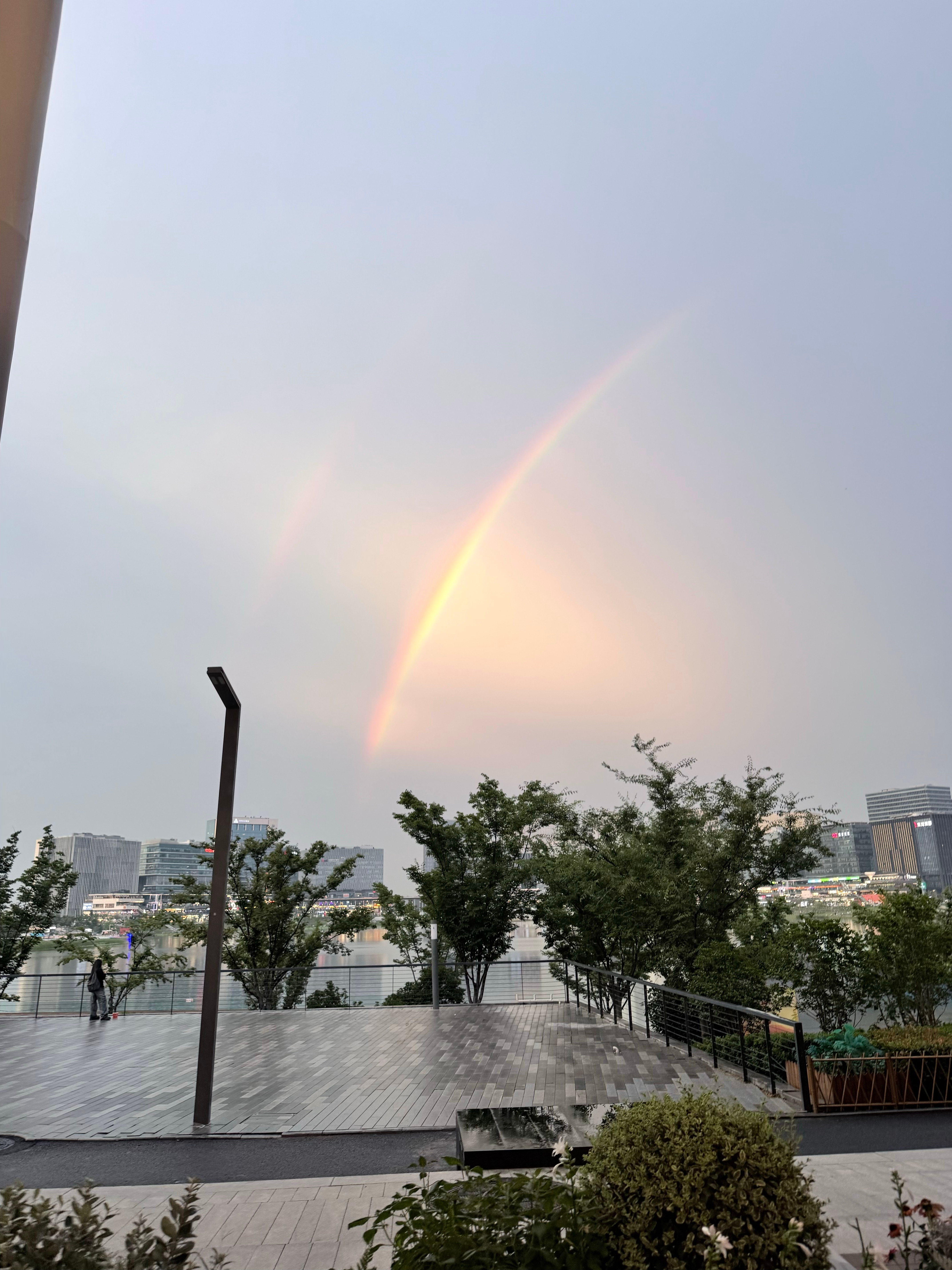 带朋友郑州游遇见彩虹了🌈祝大家八月都好运！！妞子今天窜了吗 🈚️ 