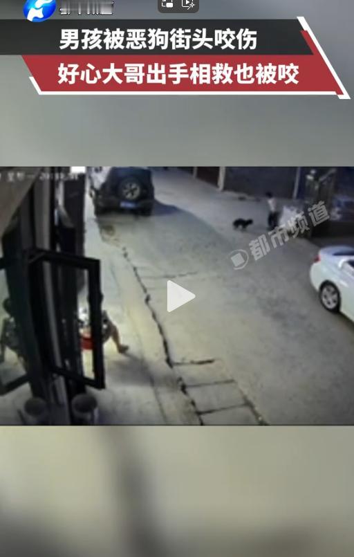遇到恶狗咋办？河南南阳一男孩儿吃完饭去街上玩耍，却惨遭一恶狗攻击，小男孩儿被咬的