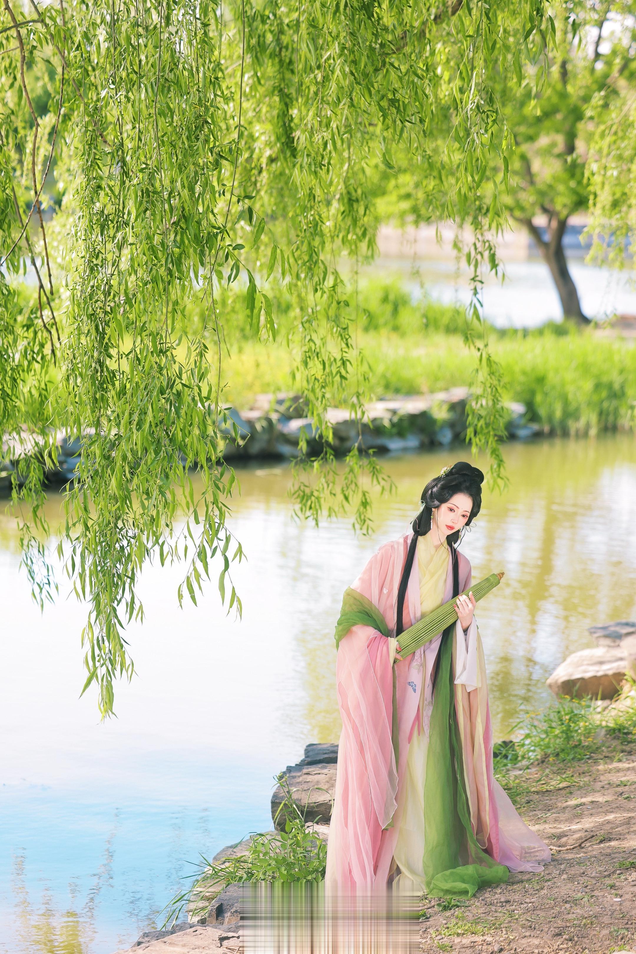 拍到诗词里的“杨柳醉春烟”摄/后：我