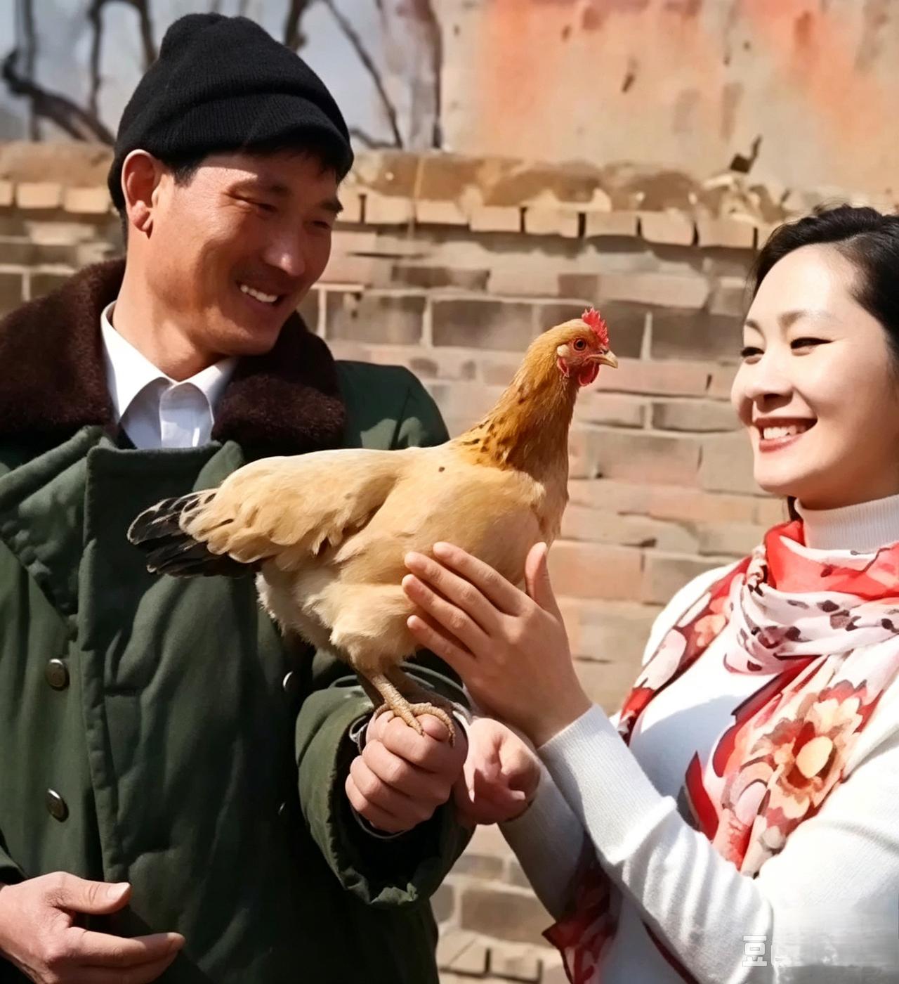 母鸡跳上大衣哥肩头听他唱歌，你觉得鸡能通人性吗？
 一只平平无奇的老母鸡，闹出一