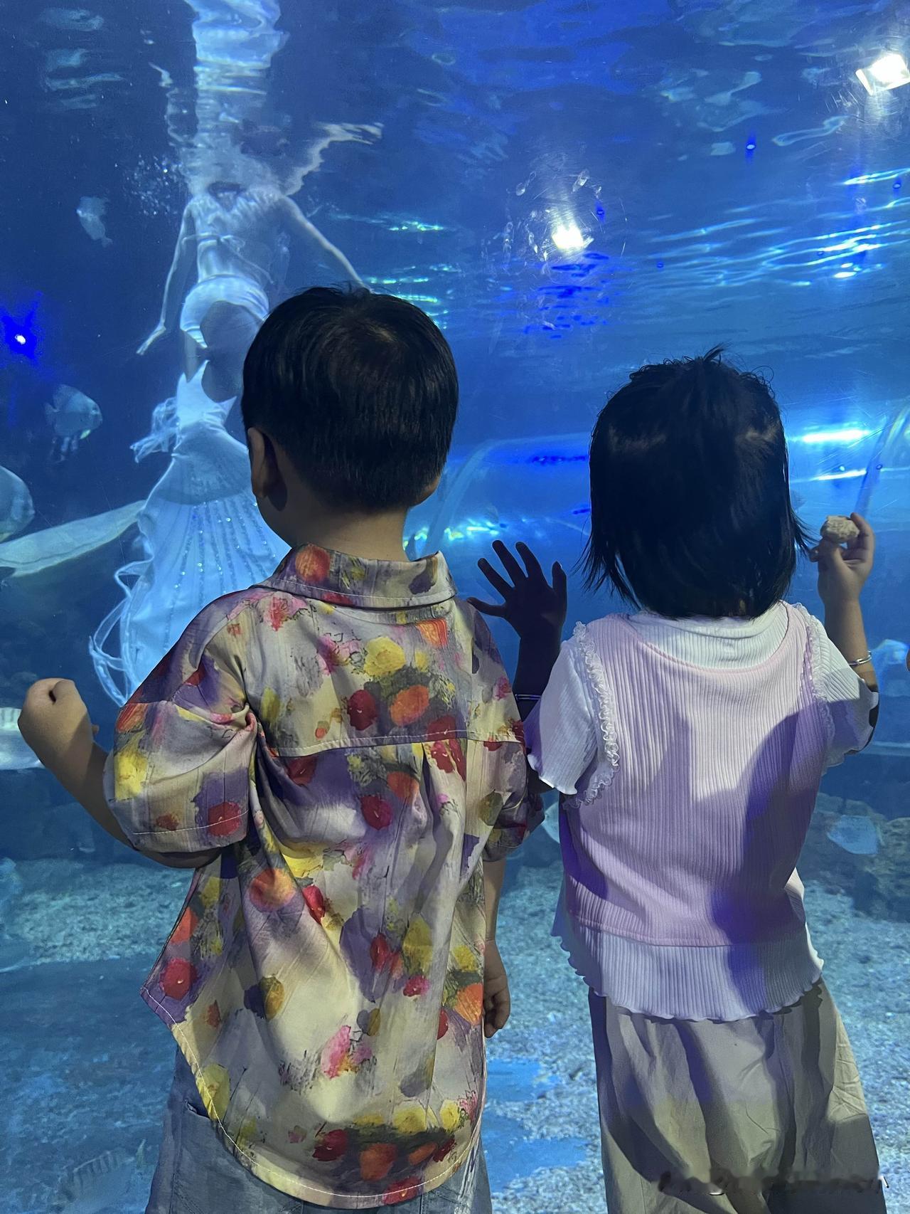 海洋馆里光线幽蓝。两个孩子趴在巨大的玻璃幕墙前，鼻尖几乎贴上去，一动不动。

水