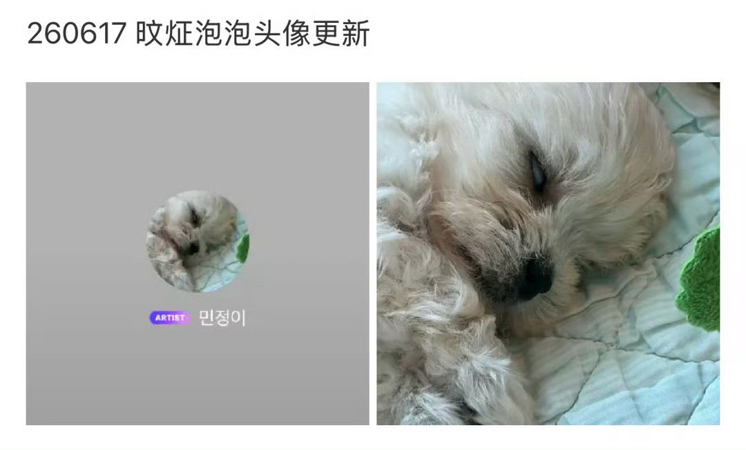 小狗 