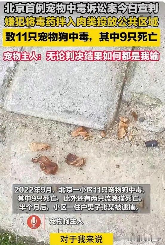 北京65岁大爷毒死9条宠物狗，被判4年，坚称无罪。狗主人则认为判轻了、赔少了，申