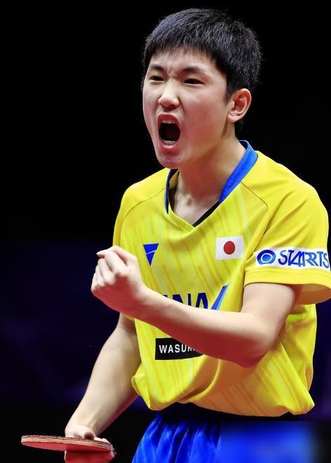 别拿“单纯”给张本智和洗白。他告诫小将“打王楚钦多打几次就会怕”，我告诉你，这不