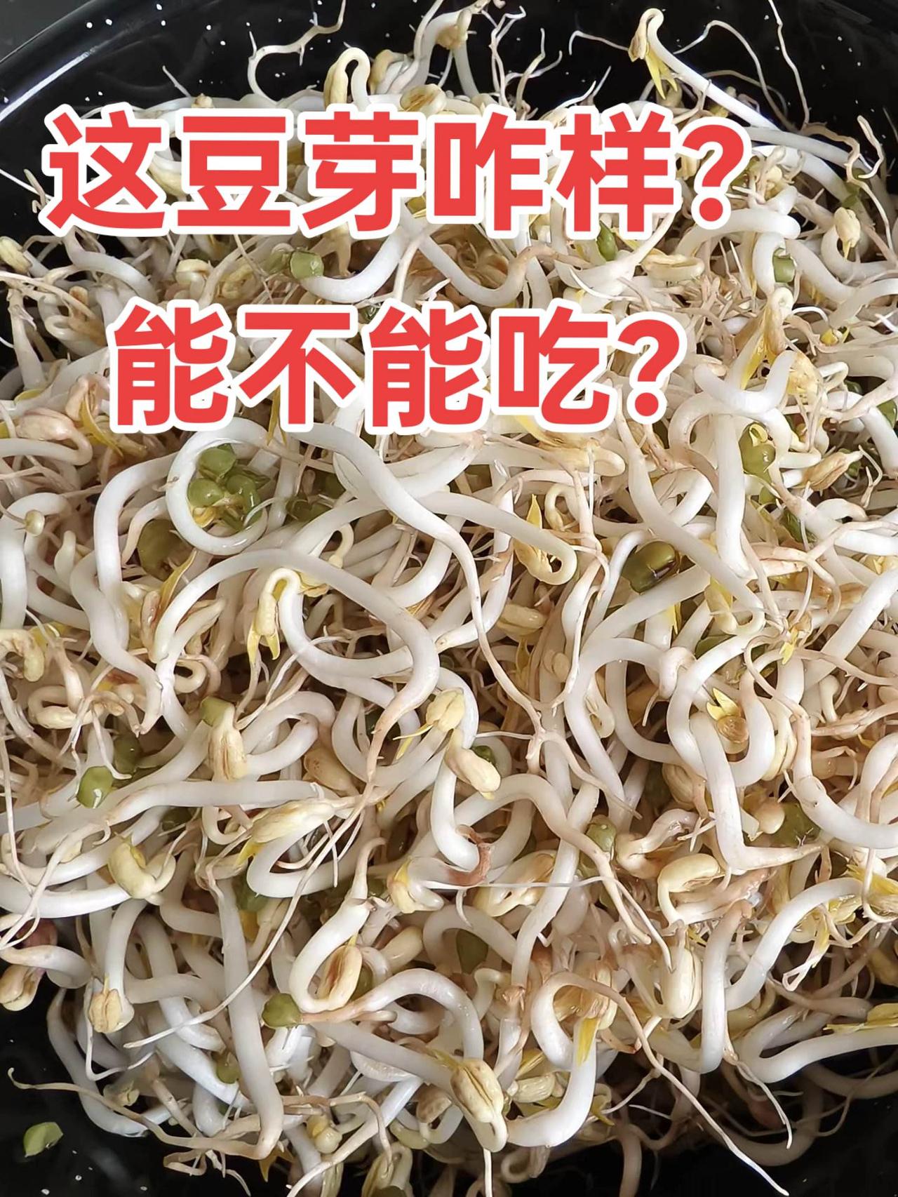 过年美食