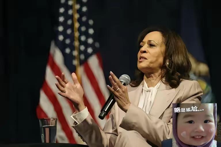 美国前女副总统哈里斯真厉害竟然把特朗普政府的“底裤”扒了个精光。哈里斯在美国底特
