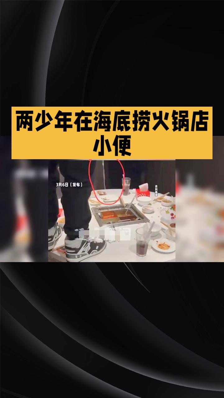 2025年2月，两名少年在海底捞火锅店小便，引发轩然大波，如今当事人登报道歉，赔