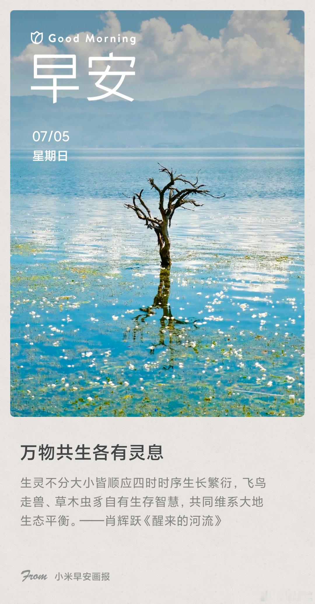 小米画报 万物共生各有灵息： 生灵不分大小皆顺应四时时序生长繁衍，飞鸟走兽、草木