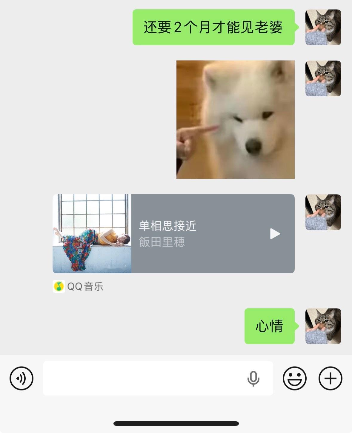 是否动了真情 为何心神不宁脑海中想的全部都是你🎶 