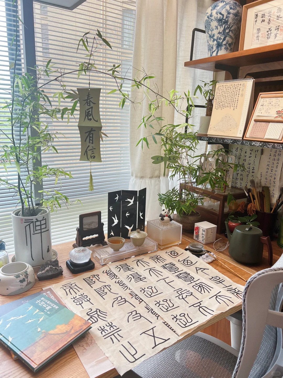 宅家日常🏠万物自有节奏 小闲既欢 小清既静