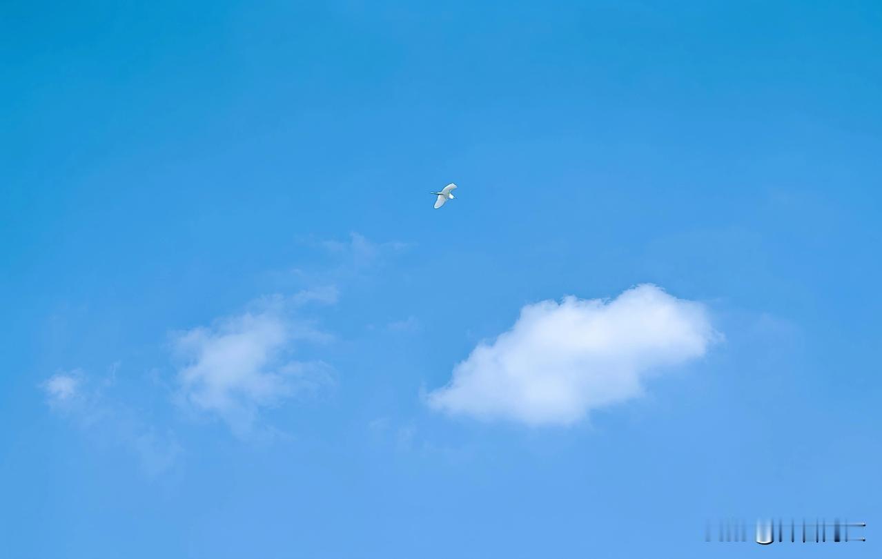 今日分享随手拍照片天空任鸟飞
