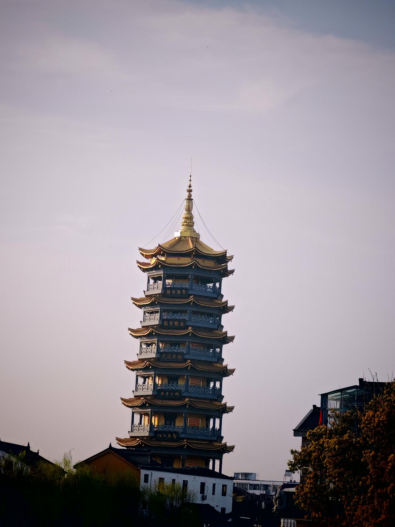 春日生活打卡季