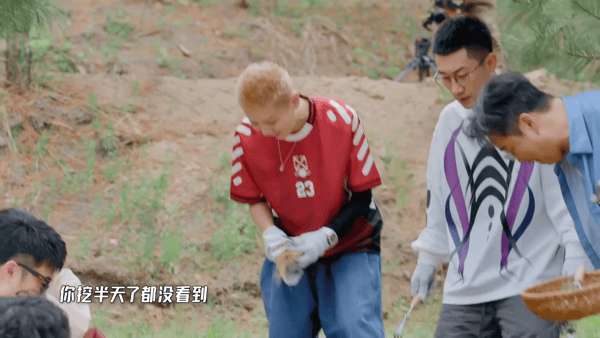 鹿晗抢完邓超抢陈赫哈哈哈哈哈五哈 看五哈嘉宾挖人参的片段格外欢乐，陈赫颗粒无收，