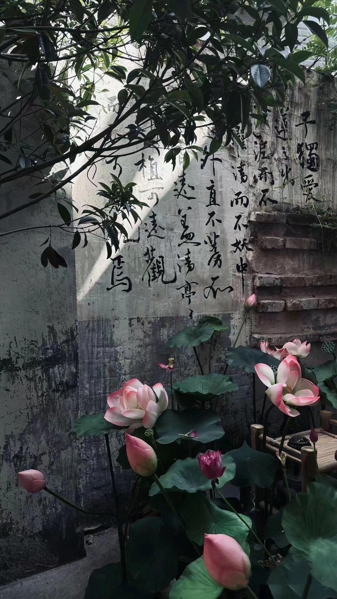 这就是中国人才懂得意境吧 ​​​