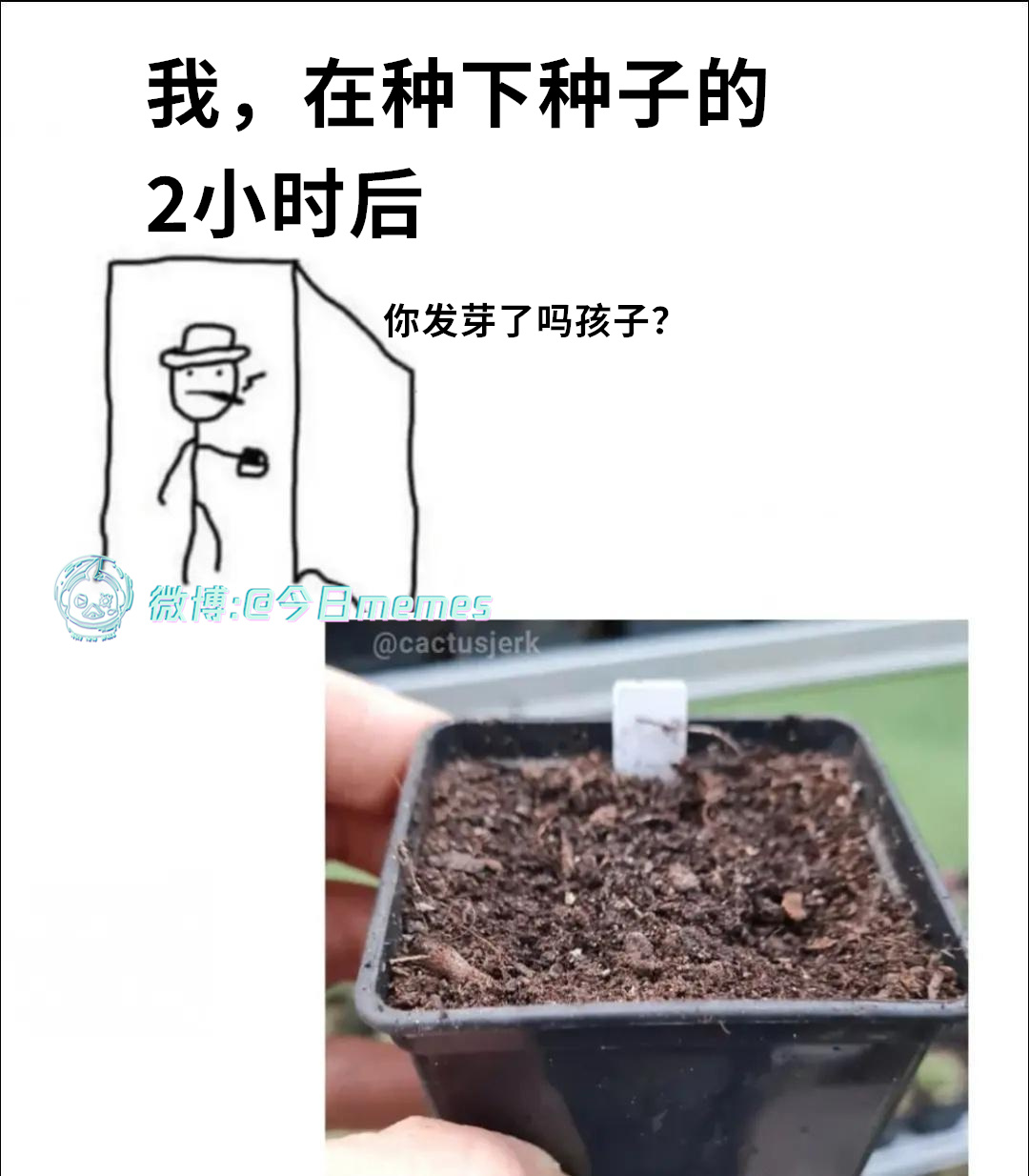 快些（9gag） 今日meme[超话]   