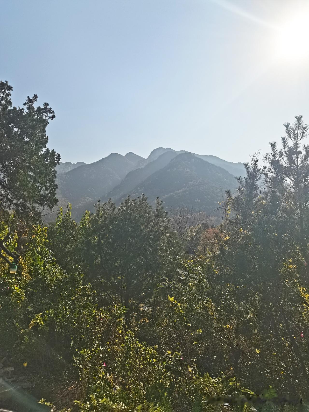 秋天的泰山桃花峪！