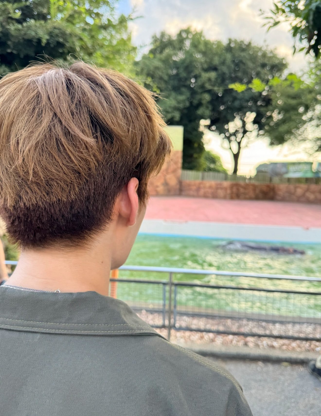 我还是佩服pcm的火眼金睛，说实话我第一眼真没注意到这张图里有河马🦛被我们笨笨