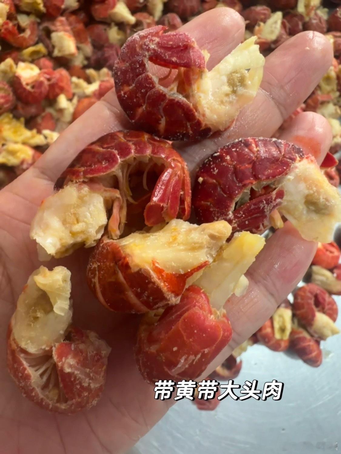 今年新货，特级大号龙虾尾！肉质饱满带黄🦞实拍无滤镜！清水稻田虾制作的龙虾尾今年