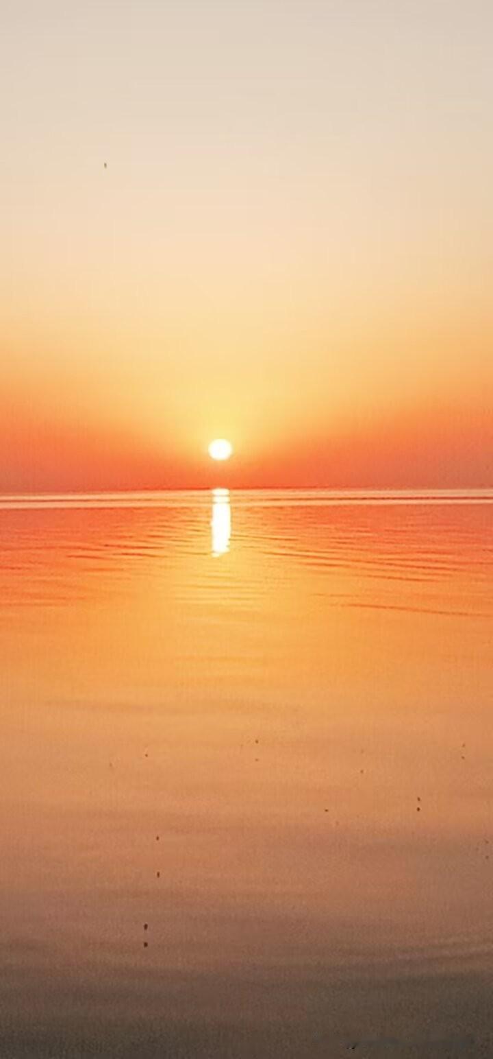 终于能静下心备年货啦
 
放下手机的这一刻，感觉整个人都活过来了！
 
之前天天