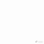 张新成 ​​​