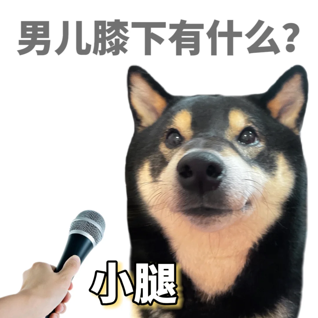偷偷背梗就是为了已读乱回😊