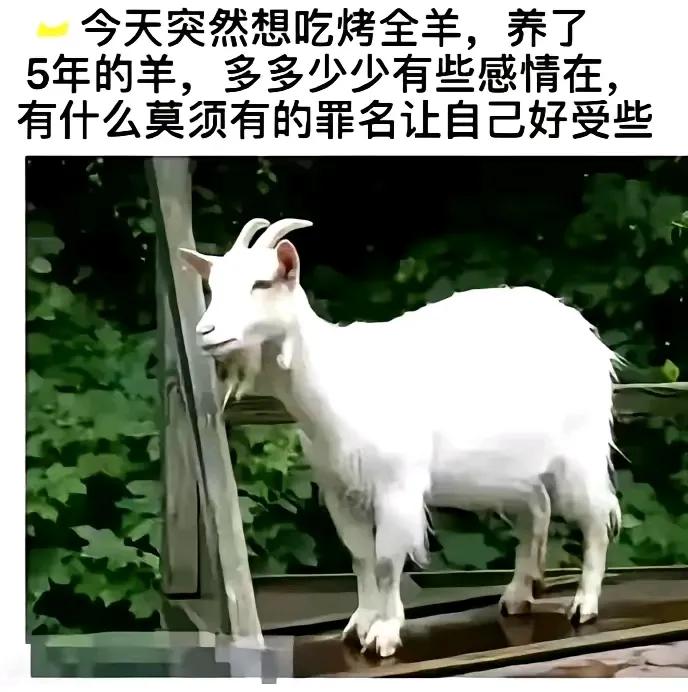 想吃就吃吧，何必那么虚伪，非要找个理由？！