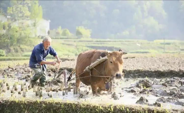 ，下联你来对