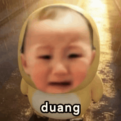 崩溃啊我去