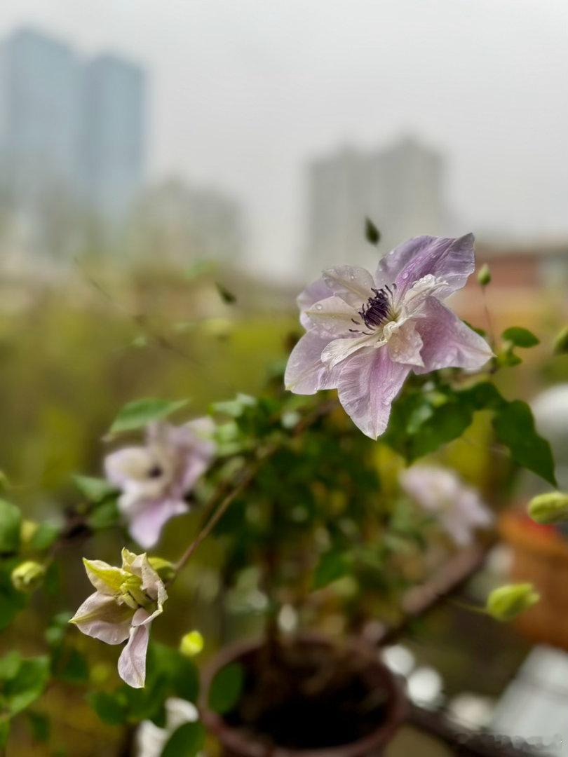 今天登录十几年前的网站，密码忘记了。看到提示问题我都被自己气笑了：问题1:最喜欢