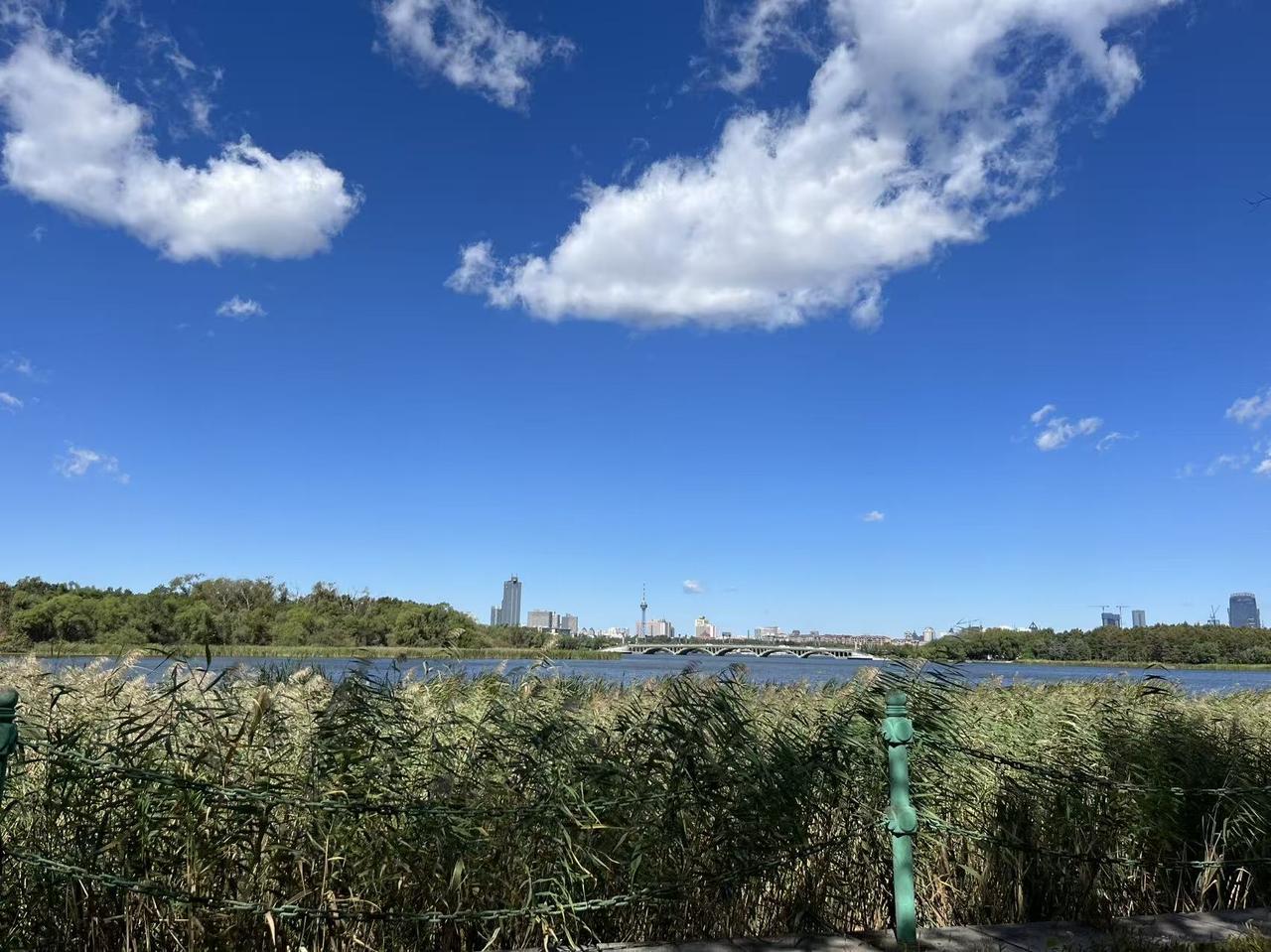 一路山色，随手拍一张风景照南湖岸边是我家即亲切又遥远，风景秀丽，让人心旷神怡！
