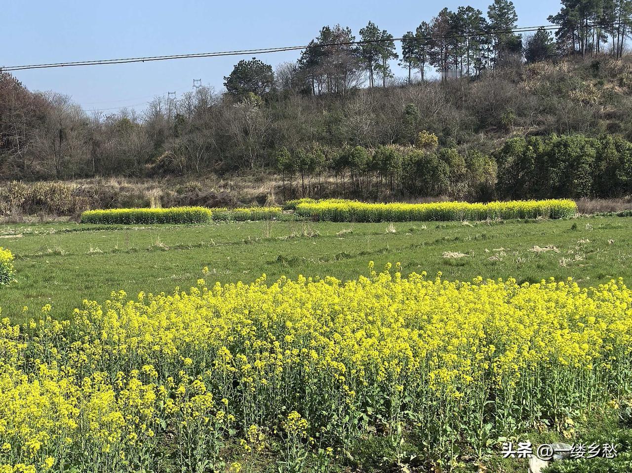 是不是随着年龄增长，人的心理会变得脆弱？儿子今天上午参加科目三考试，怎么都联系不