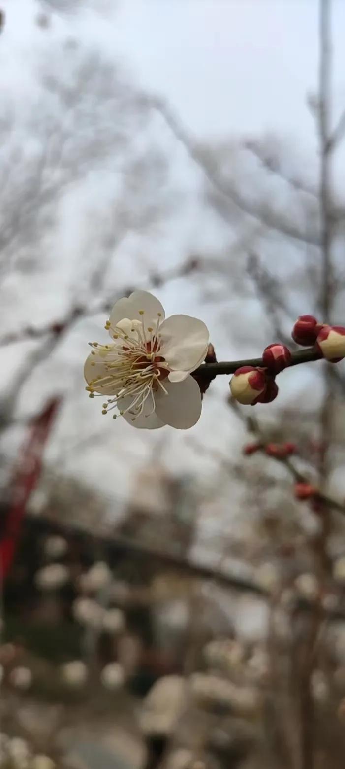 人，一旦出现下面这几种状态，就很难被珍惜了
 
一、事事迁就；
二、一味妥协；