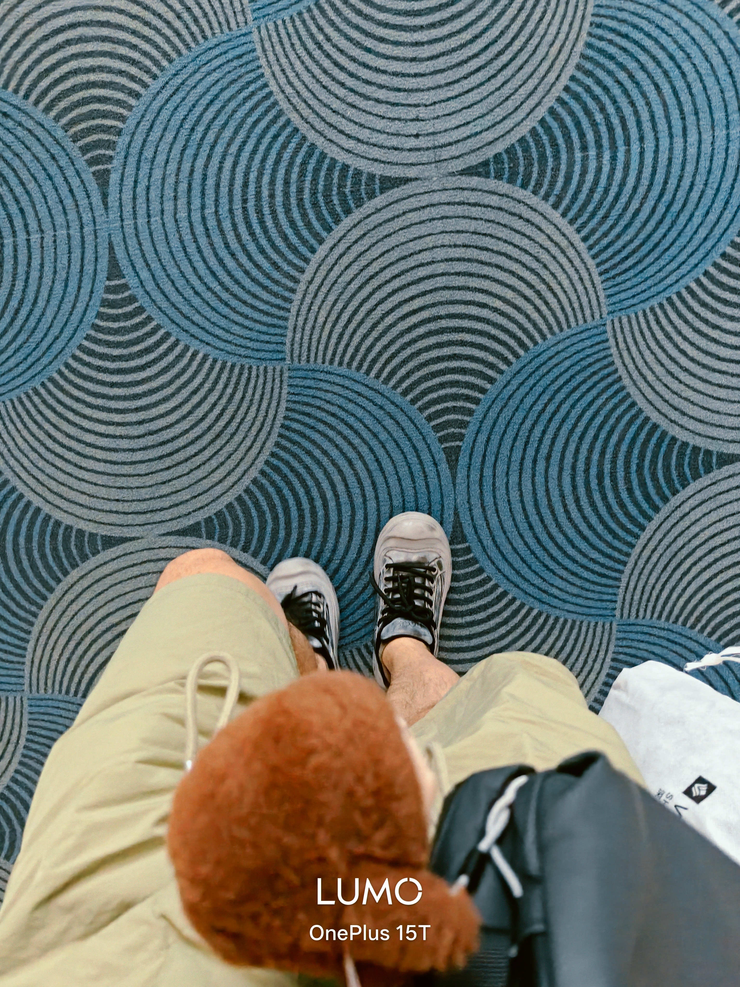 中转，回家穿棉袄去了～🧣 咸阳·西安咸阳国际机场