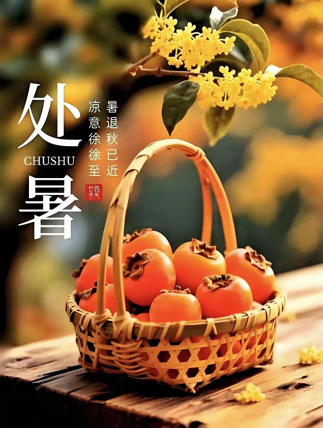 采桑子 处暑
新凉暗度西窗牖，
暑退凉生。
蝉咽残声。
叶底风来秋渐横。
碧空如