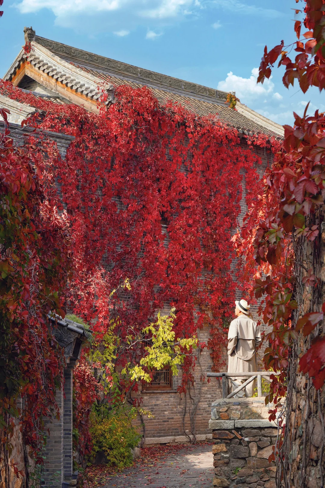 这么红，那么美！🍂周末去京郊（附机位)