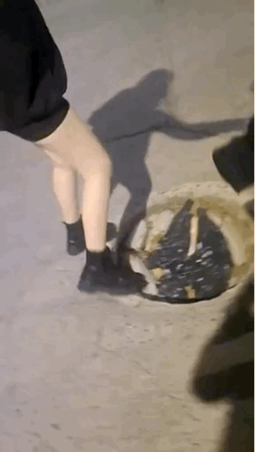 坑你没看出来？