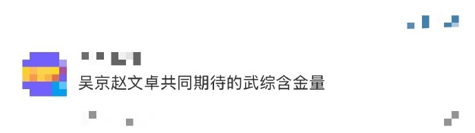 吴京赵文卓共同期待的武综含金量   这档武综的诞生，犹如一颗闪耀的新星照亮武术天