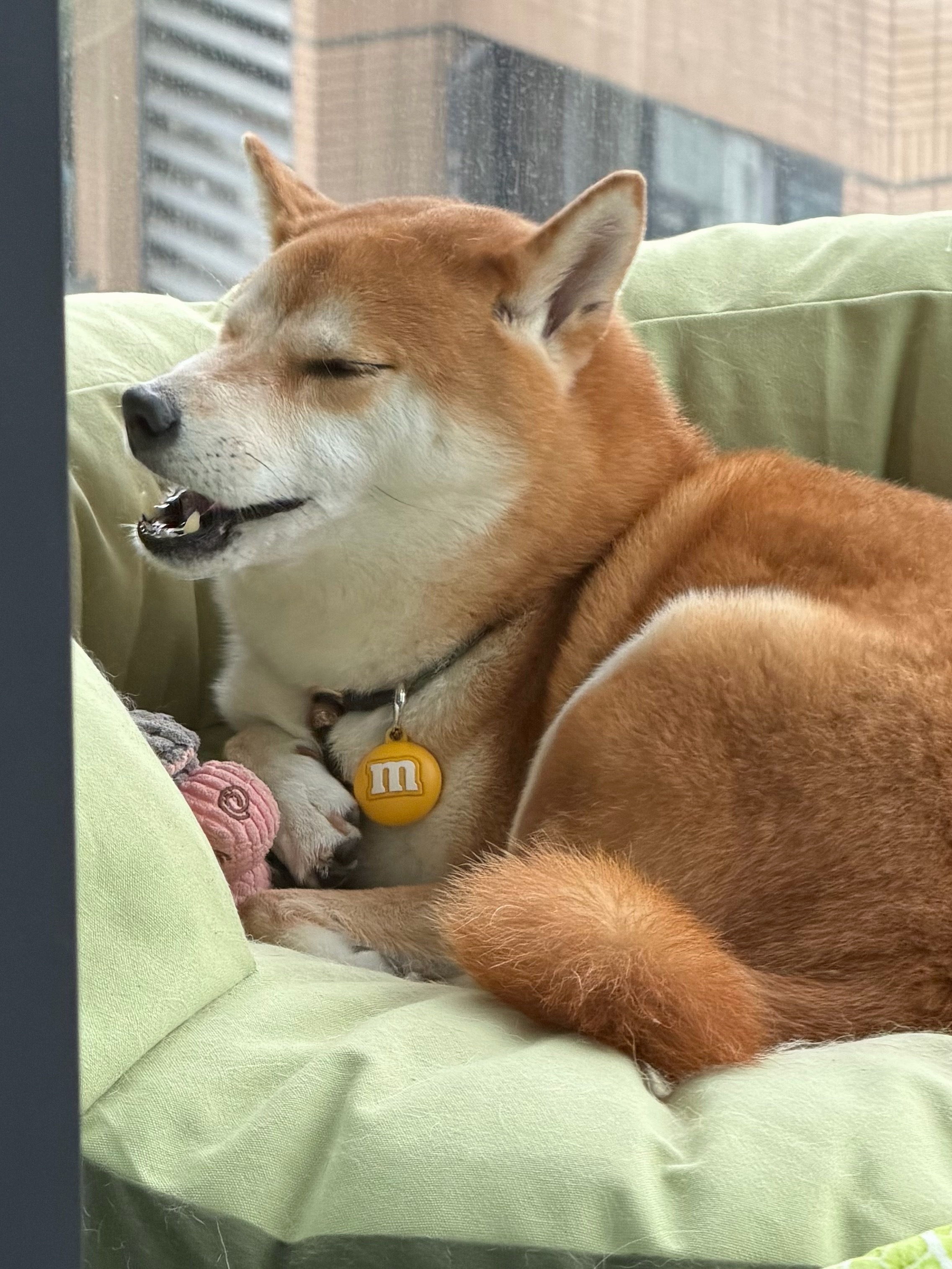 这 Der 表情什么意思