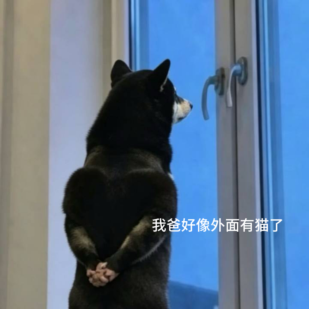 分享图片 