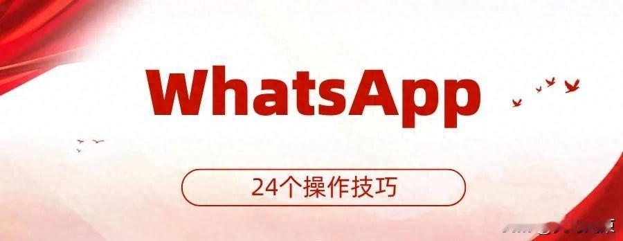 WhatsApp功能乱用等于自废武功，别人早按官方逻辑玩转了，你还在信截图教程。