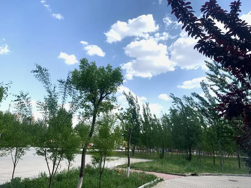上联：昨夜狂风暴雨，诚邀君赐下联今天风和日丽。