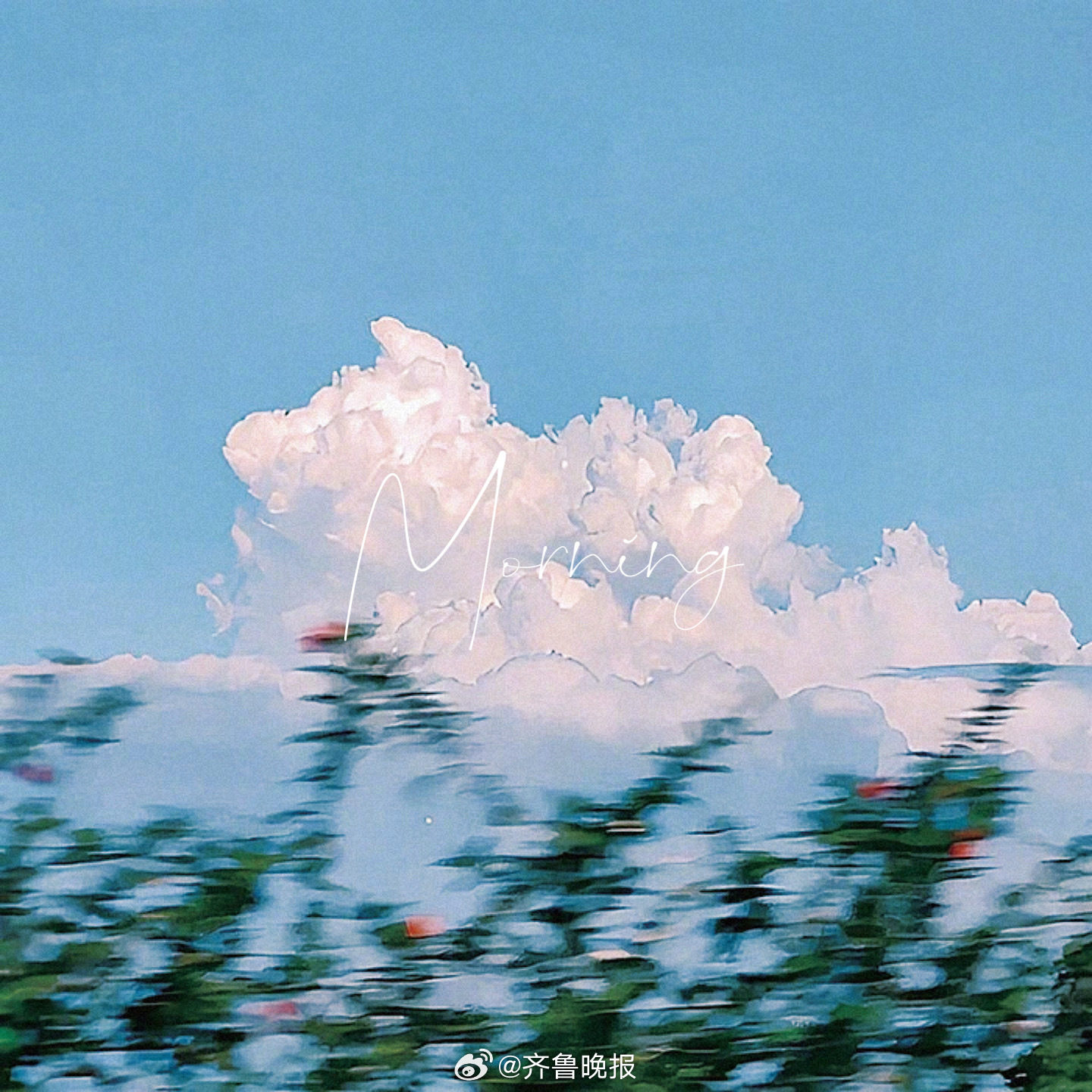 坚定的热爱全力以赴去提升[太阳]#早安# ​​​