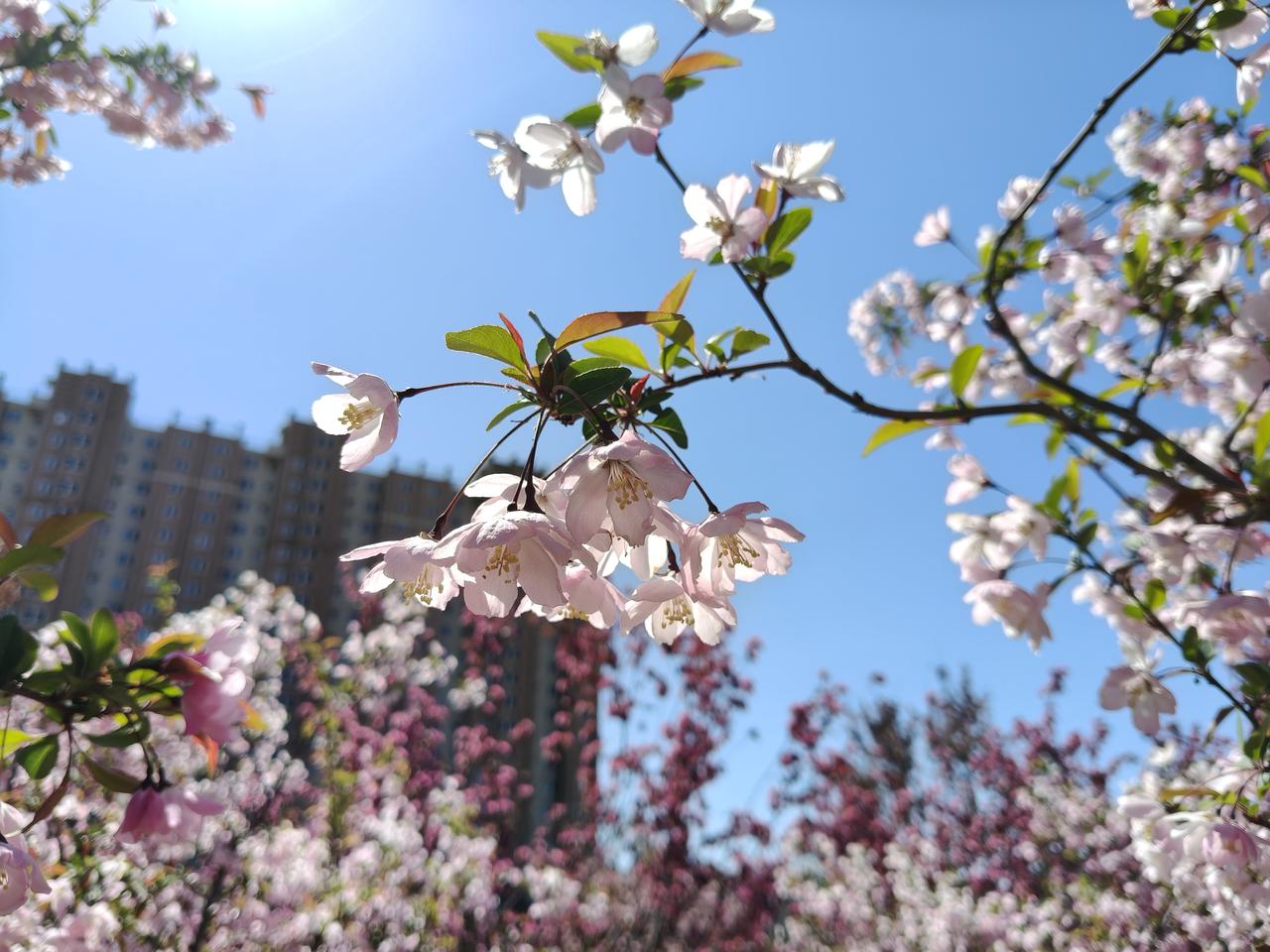 上联:春天春光美；求下联。夏天夏景佳
